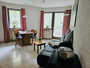 Residenz Schauinsland Todtnauberg - Fewo 17 - Sauna - Spielzimmer für Kinder - Nähe Feldberg